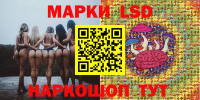 spice Коммунар