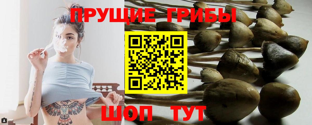 Псилоцибиновые грибы мицелий Чапаевск